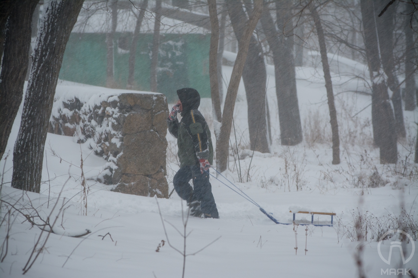 Одесса в снегу (24)