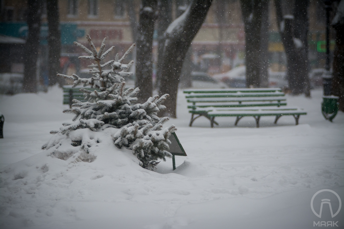 Снег в Одессе 2016 (4)