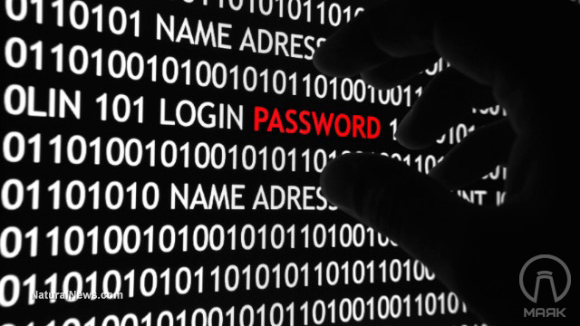 Hacker-Computer-Theft-Password-Identity-Steal