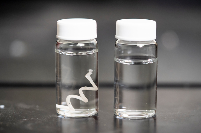 Американские ученые создали пластик, который полностью разлагается в воде