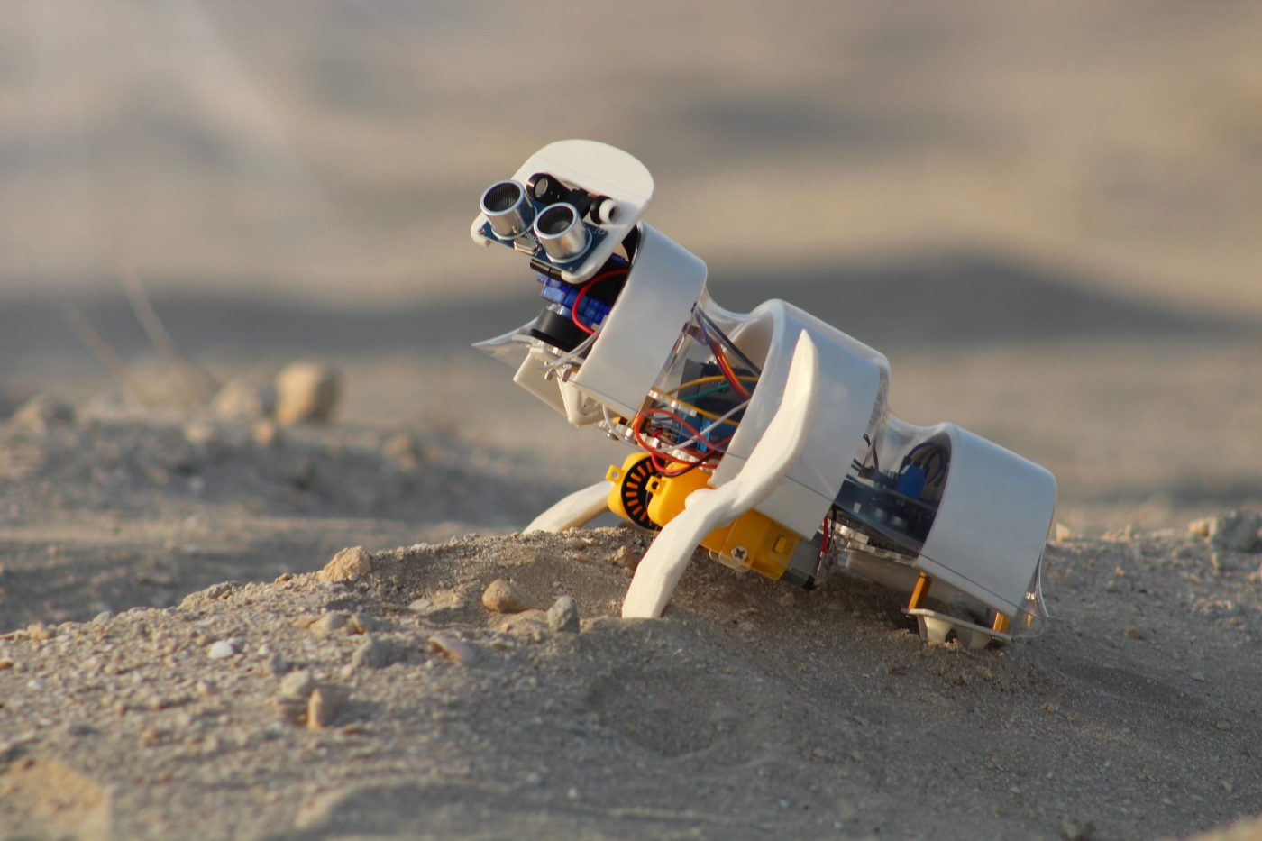 В Дубае создали крошечного робота, который сажает семена в пустыне