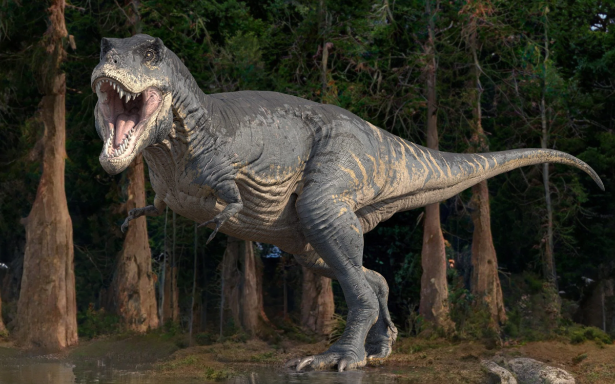 Навіть T-Rex. Більшість динозаврів були теплокровними