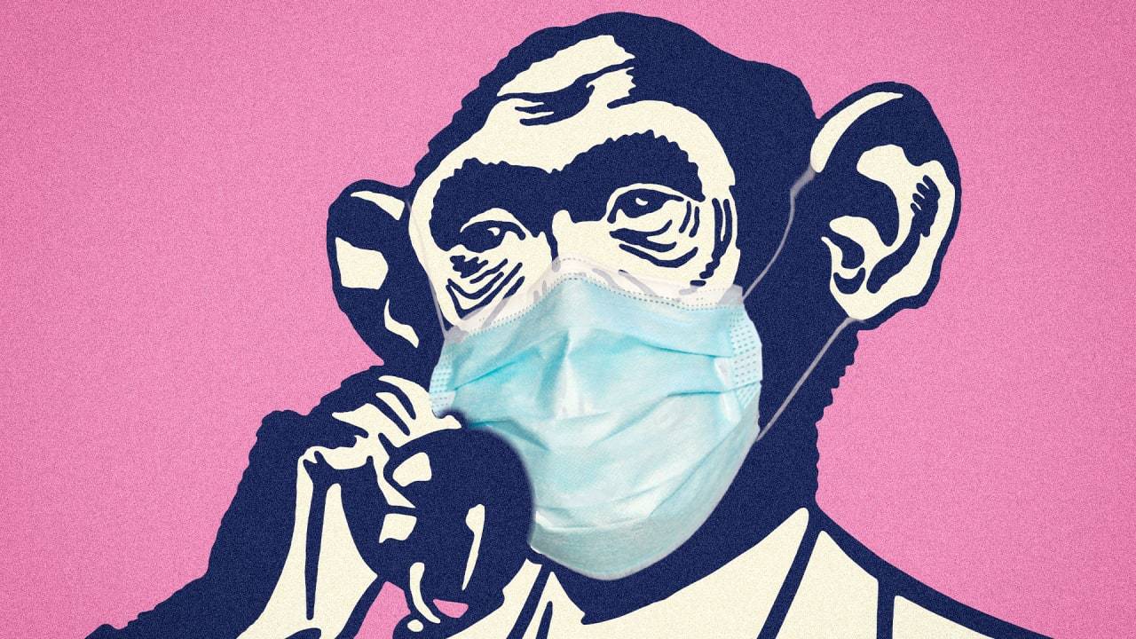 Бельгія першою запровадила карантин для хворих на мавпячу віспу