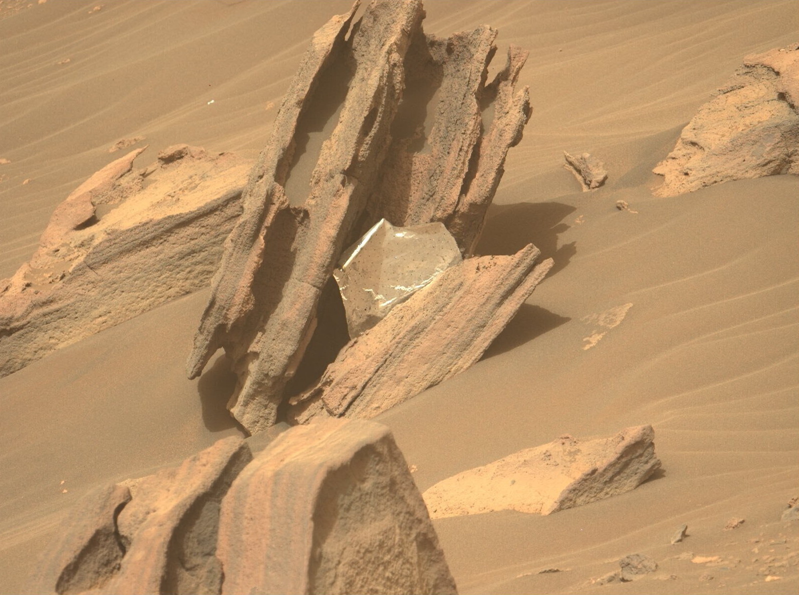 Ровер Perseverance знайшов сміття на Марсі