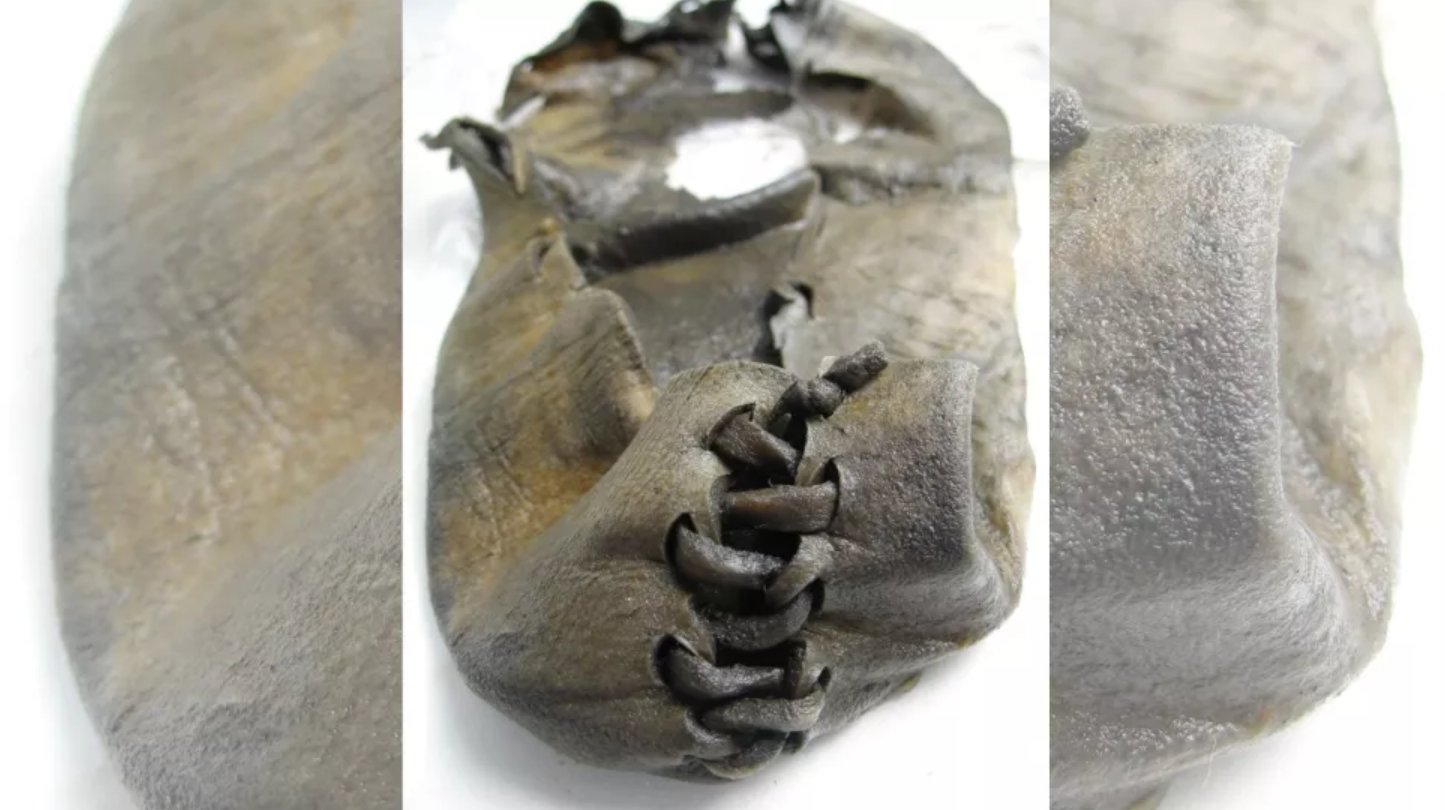 У Норвегії знайшли найстаріше взуття. Це шкіряні черевики, які носили 3 тисячі років тому