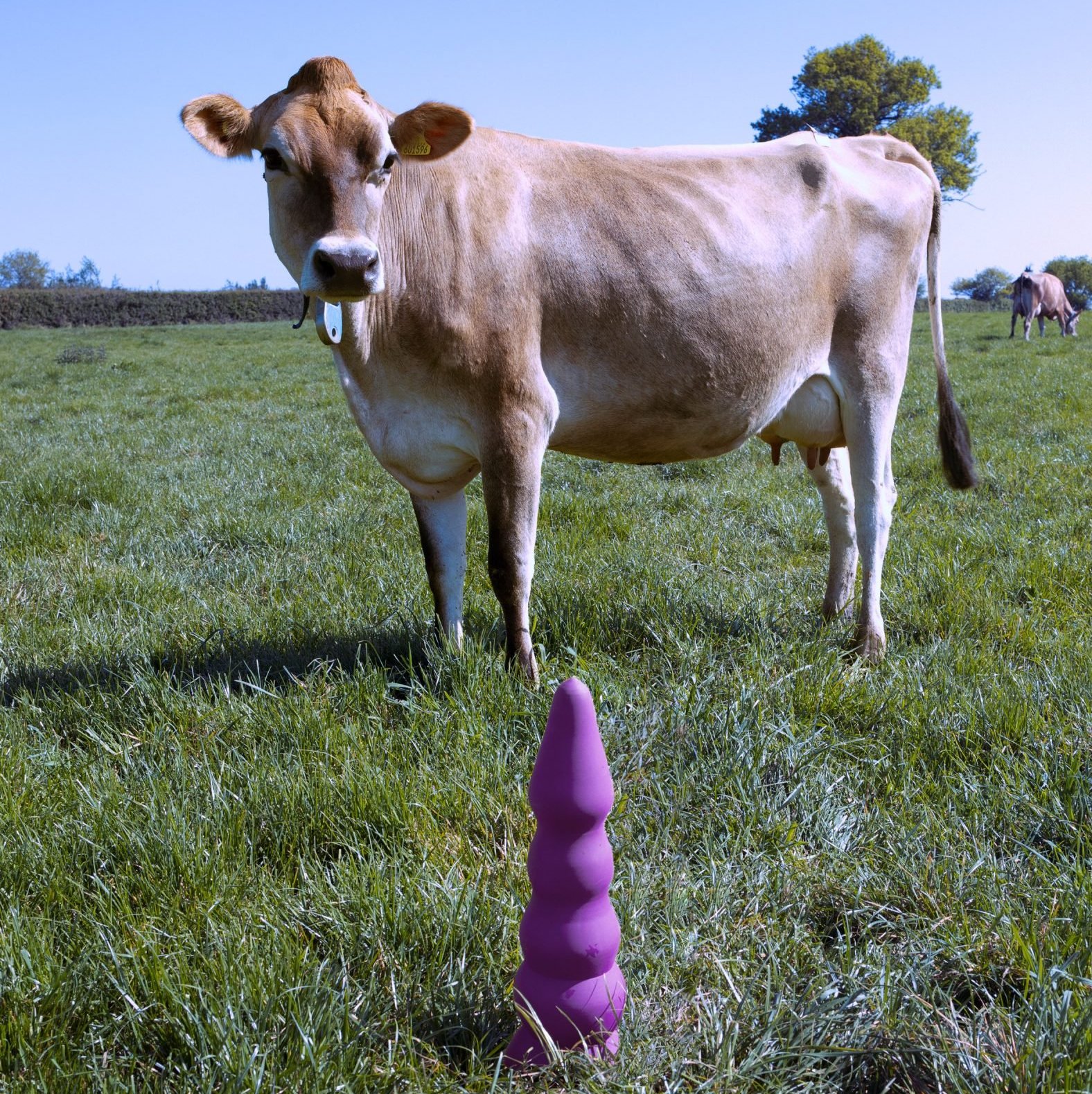 Дивіться на секс-іграшки для корів!