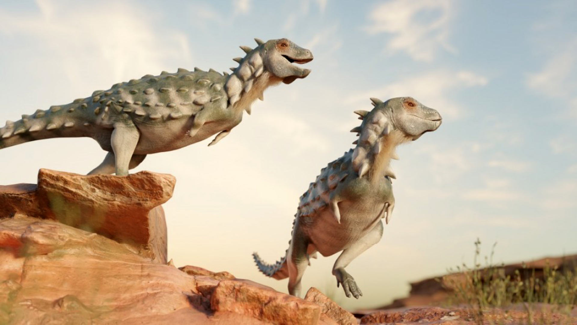 В Аргентині відкрили новий вид динозаврів. Він розміром з кота