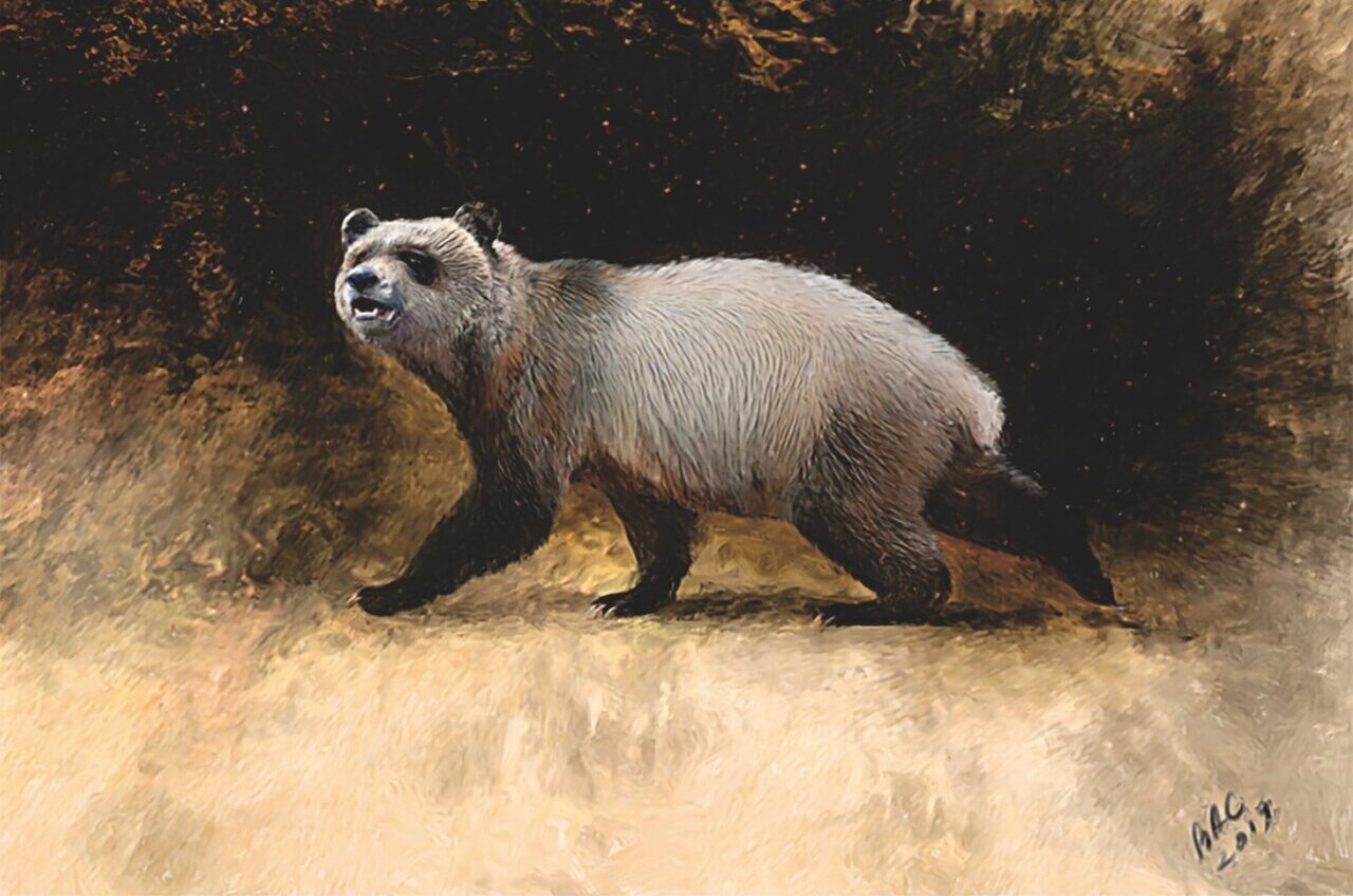 У Болгарії знайшли скам’янілості останньої панди Європи