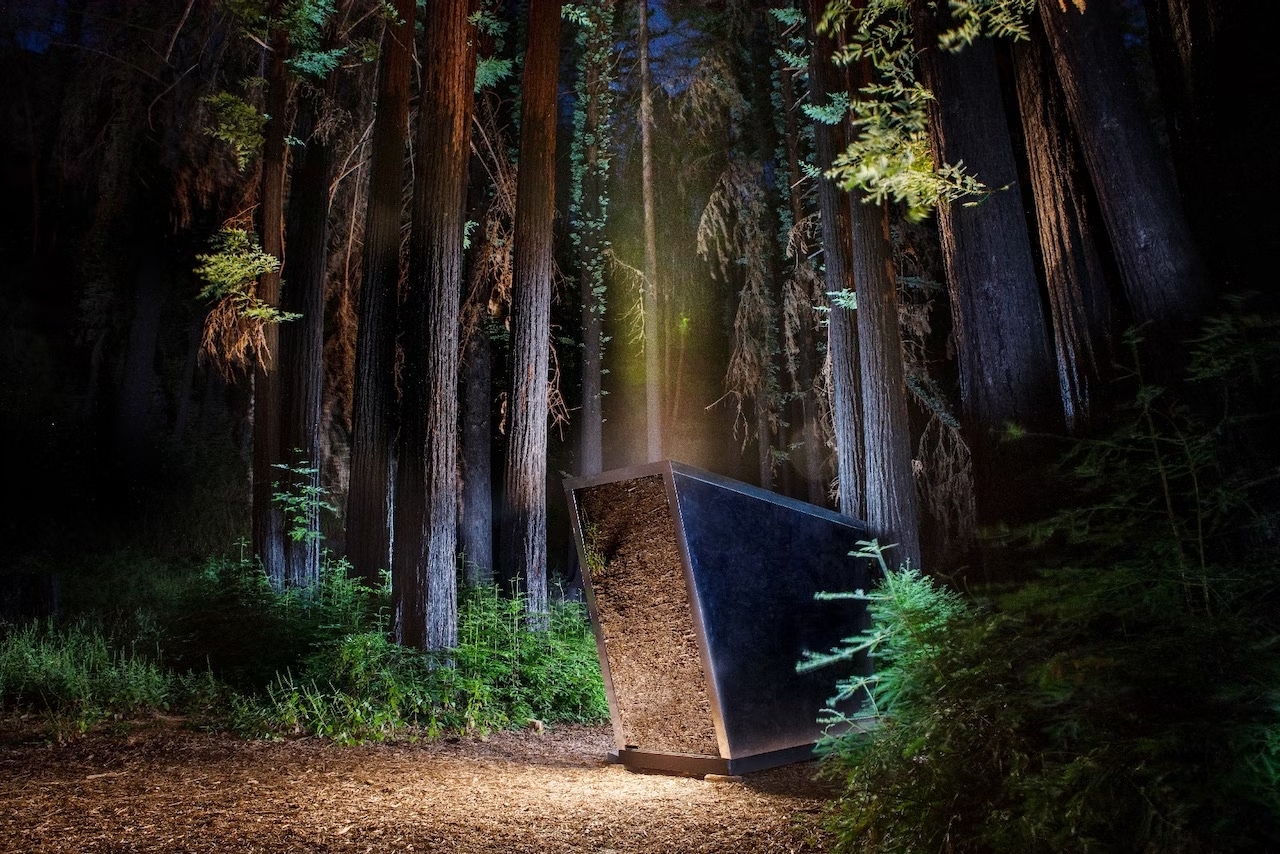 «Портал». Екс-дизайнери Tesla та SpaceX встановили туалет у лісі
