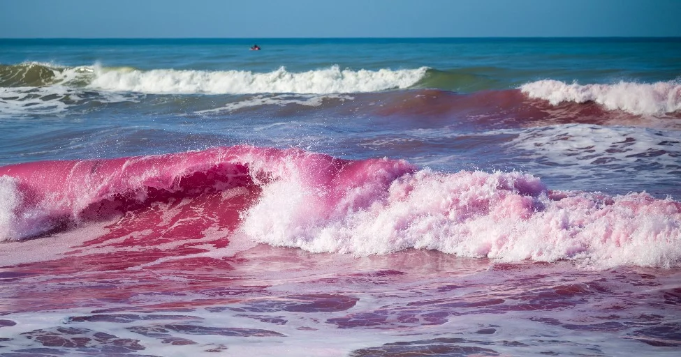 Каліфорнійські вчені пофарбували океан у рожевий колір. Навіщо