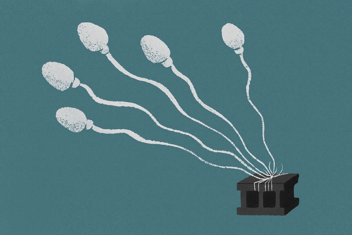 Вчені створили чоловічі контрацептиви, які «блокують» сперматозоїди